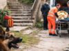 Donna di 42 anni gravemente ferita dopo attacco di un cane e caduta da una scalinata Donna di 42 anni gravemente ferita dopo attacco di un cane e caduta da una scalinata