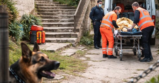 Donna di 42 anni gravemente ferita dopo attacco di un cane e caduta da una scalinata Donna di 42 anni gravemente ferita dopo attacco di un cane e caduta da una scalinata