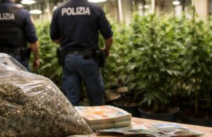 Scoperta serra di marijuana a Farindola: arrestati tre cittadini albanesi Scoperta serra di marijuana a Farindola: arrestati tre cittadini albanesi