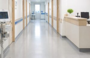 Burocrazia e un gatto morto: la disavventura del professor Galzio a Tortoreto Burocrazia e un gatto morto: la disavventura del professor Galzio a Tortoreto