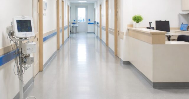Burocrazia e un gatto morto: la disavventura del professor Galzio a Tortoreto