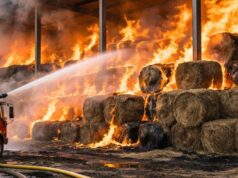 Incendio in un deposito di rotoballe a Cavatassi, intervento dei Vigili del Fuoco Incendio in un deposito di rotoballe a Cavatassi, intervento dei Vigili del Fuoco