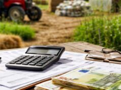 Sei abruzzesi condannati per frode sui risarcimenti COVID da 800 mila euro Sei abruzzesi condannati per frode sui risarcimenti COVID da 800 mila euro