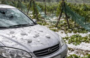 Violenta grandinata colpisce la provincia di Teramo, ingenti danni a coltivazioni e veicoli Violenta grandinata colpisce la provincia di Teramo, ingenti danni a coltivazioni e veicoli