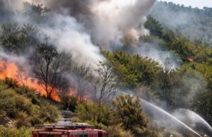 Incendi di vegetazione nel Teramano, Vigili del Fuoco in azione ad Arsita e Colleminuccio Incendi di vegetazione nel Teramano, Vigili del Fuoco in azione ad Arsita e Colleminuccio