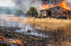 Incendio in campagna a Sulmona, denunciato un agricoltore Incendio in campagna a Sulmona, denunciato un agricoltore