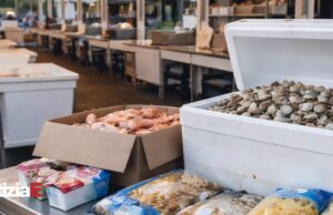 Furto di prodotti alimentari alla sagra della vongola Furto di prodotti alimentari alla sagra della vongola