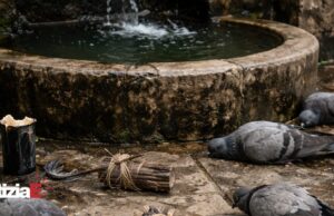 Nereto: scoperta inquietante alla Fontana Vecchia, indagini in corso Nereto: scoperta inquietante alla Fontana Vecchia, indagini in corso